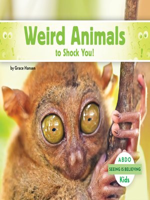 cover image of Weird Animals to Shock You!